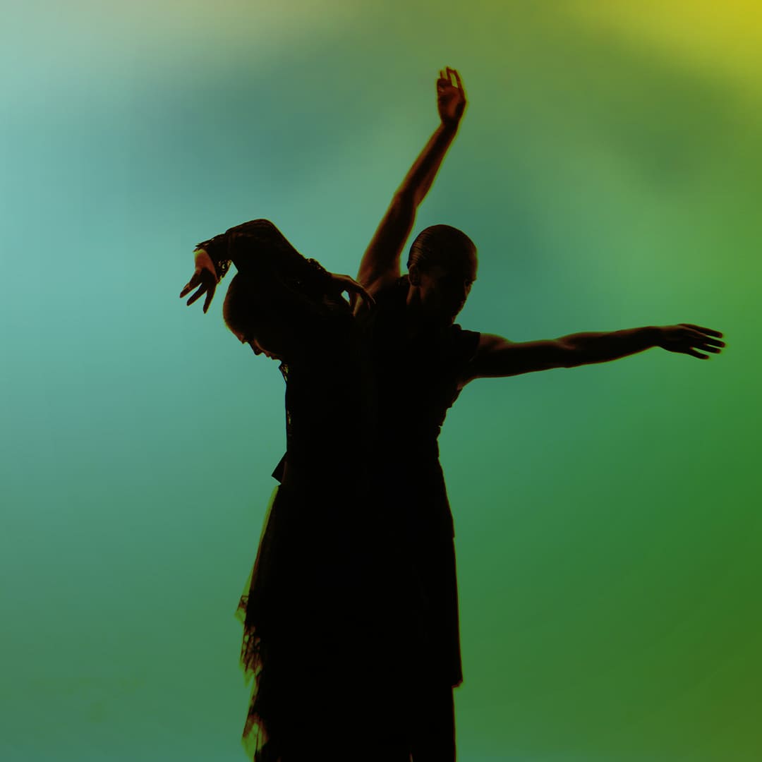 Image hover effect image